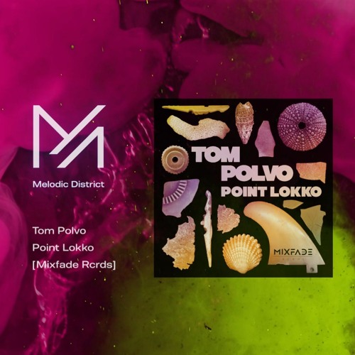 PREMIERE: Tom Polvo - Point Lokko [Mixfade Rcrds]