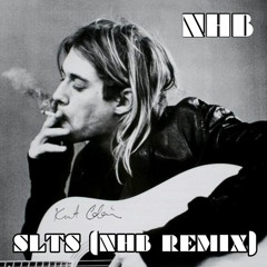 SLTS (NHB Remix)