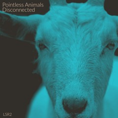 Pointless Animals - Blind Squid  (Audio3K MASTER).wav