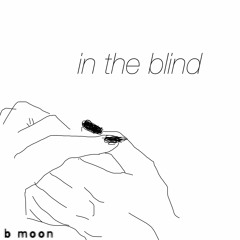 in the blind