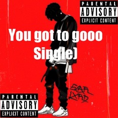 You got to goooo (single)
