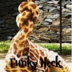 Funky Broken Neck Mix