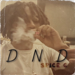 DND (prod. Dee B)