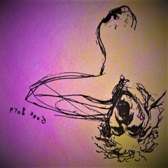 Counting All The Star Fish - Flip