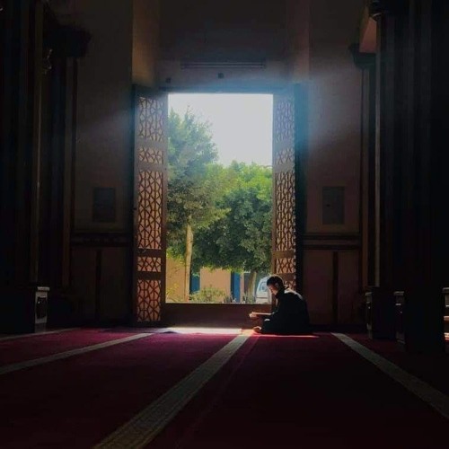يَا أَيُّهَا الَّذِينَ آَمَنُوا قُوا أَنْفُسَكُمْ وَأَهْلِيكُمْ نَارًا | الزهراني