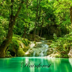 Rainforest - Inspiring Ambient Peaceful Relaxing FREE Music | Meditation, Zen, Yoga & Stress Relief