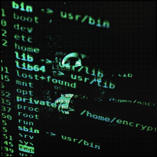 Dataintrång - Datanørd