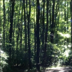 live forever prod. thersx