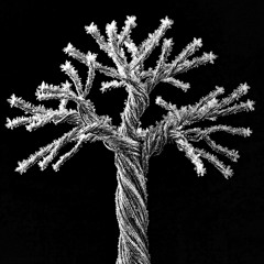 Say My Name Again [SPELL ONE]