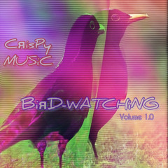 CRSPY- BiRD-WATCHiNG V.1