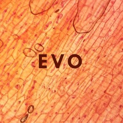 Evo