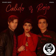 Miranda!; Benjamín Amadeo - Cálido y Rojo (DJ Chelo Remix)