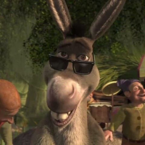 Donkey ( Youngsimt2r Anthem) - Vivid The Producer