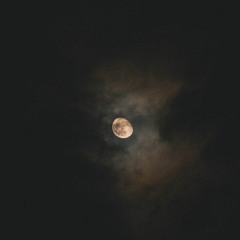 good night