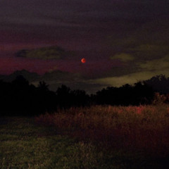 Still, I Rise (Produced by Dexter Yu)