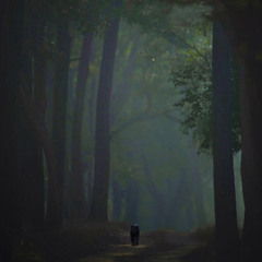 TGlo- feel like heaven | made on the Rapchat app (prod. by smoothpdc)