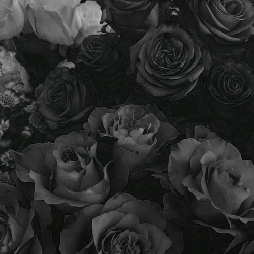Killing Me Softly