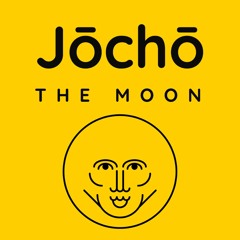 The Moon (Original Mix)