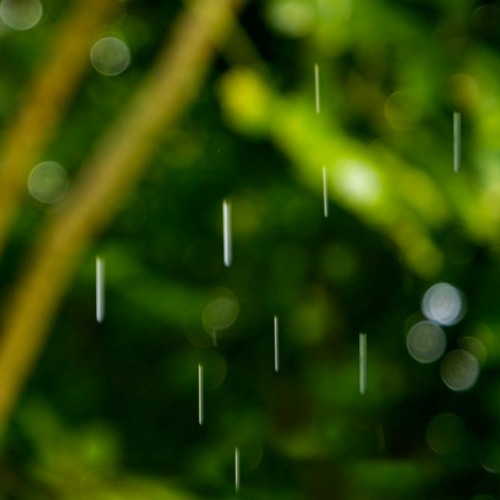 Dreamy Rain Sleep Sounds | Relaxing Rainstorm White Noise (75 Minutes)