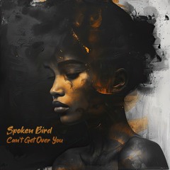 Spoken Bird - Can't Get Over You