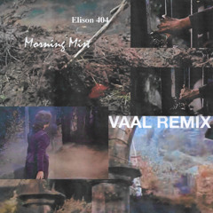 Morning Mist (Vaal Remix)