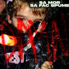 sa mor sa fac spume (prod. @taleslink)