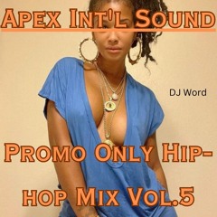 Hip Hop Promo Only Mix Vol.5
