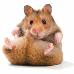 Aqua - Barbie Girl (TekkHamster Uptempo Edit)
