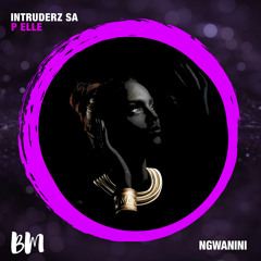 Ngwanini (feat. P Elle)