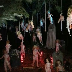The Woods