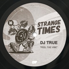 DJ True - Feel The Vibe