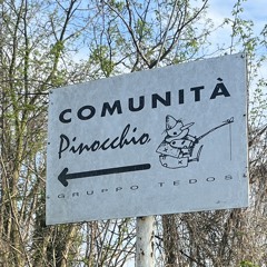 Caselibriautoviaggi