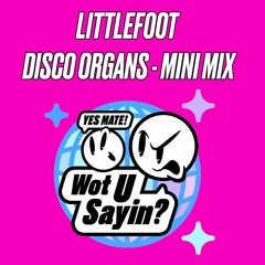 Littlefoot - DISCO ORGANS Minimix