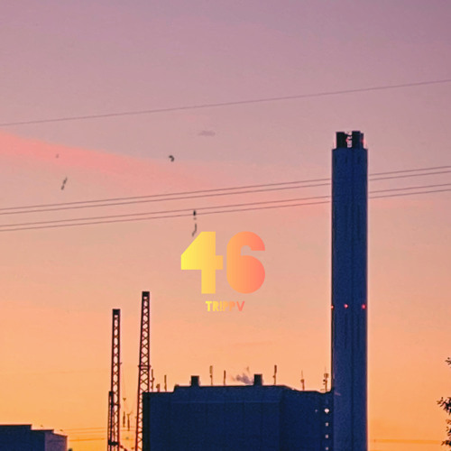 46