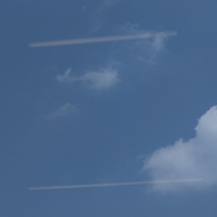 2025 - 03 - 27 trưa 3