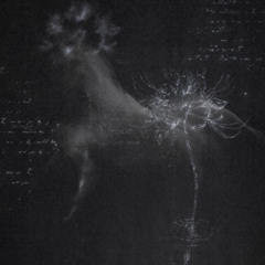 false witness (aftermath)