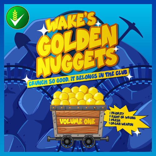 PremEar: Wake - Right Or Wrong [BANDCAMP]