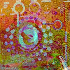 no bird of ruffled feathers