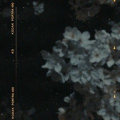 con duong day nang hoa..