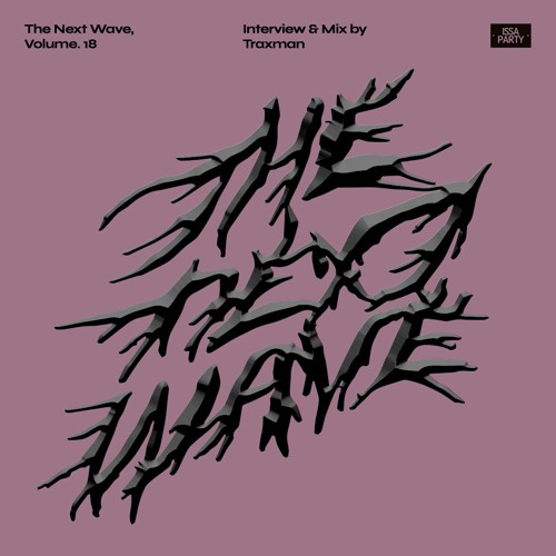 The Next Wave, Volume. 18 - Interview & Mix By Traxman