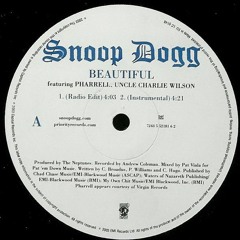 Snoop Dogg - Beautiful ft. Pharrell Williams (Beatbakery Bootleg)