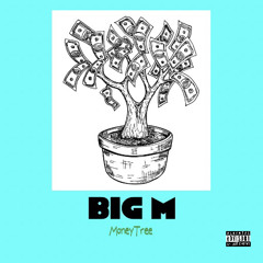 BIG M MONEY TREE