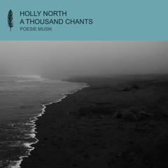 Premiere: Holly North - Hiatus [Poesie Musik]