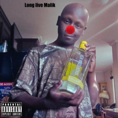 Long Live Malik (LLM)