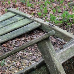 Broken Park Benches (Song For Nobody)