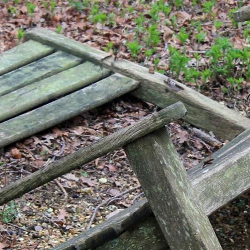 Broken Park Benches (Song For Nobody)