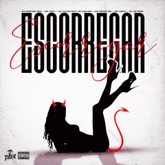 ESCORREGAR - DJ MARTINS MPC & DJ THUAR & DJ AG PROD