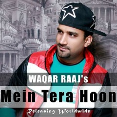 Mein Tera Hoon - Waqar Raaj