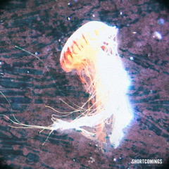 Shortcomings (Instrumental Version)