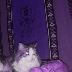 chacun dans sa ptite vie